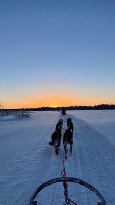 20220201 EM Husky 2