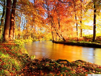 20200508 VT fiume
