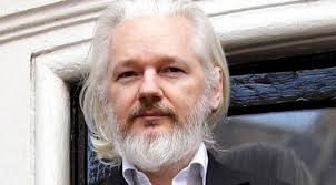 20201029 VM Assange